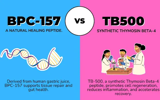 BPC 157 vs TB-500